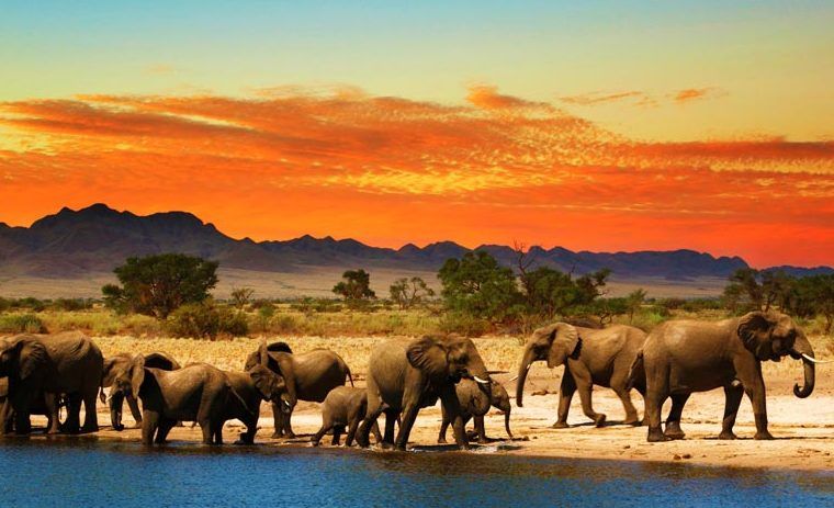 Afrique du Sud