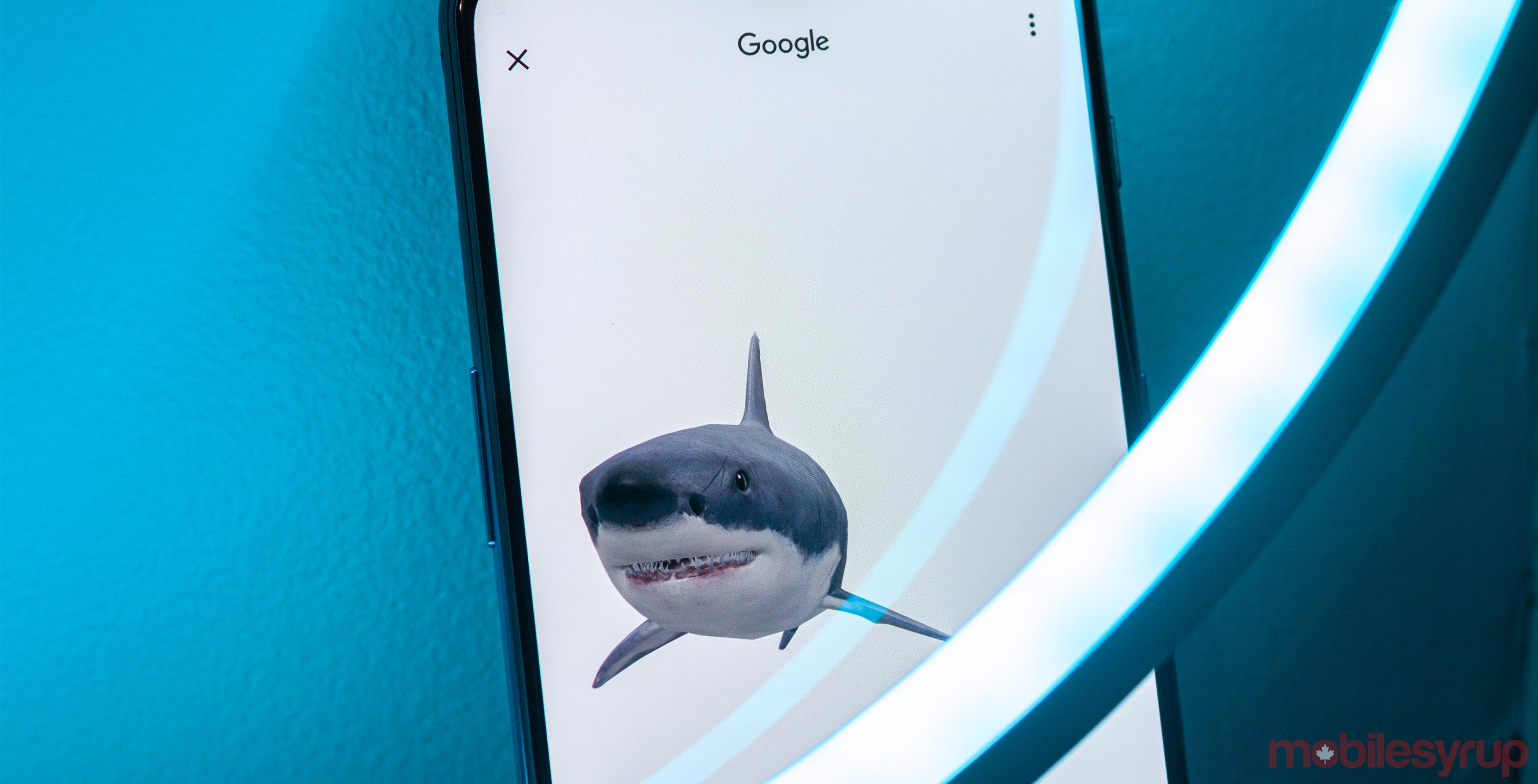 Grand requin blanc animaux Google AR